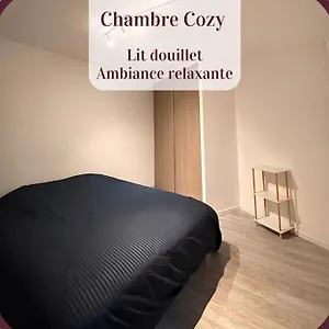 2 Pieces Rdc En Duplex Vue Cour Parking Gratuit A 20metres Appartement Roanne